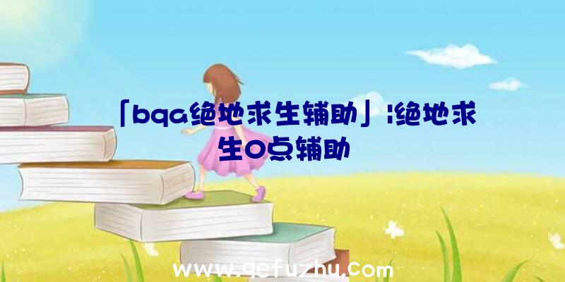 「bqa绝地求生辅助」|绝地求生0点辅助